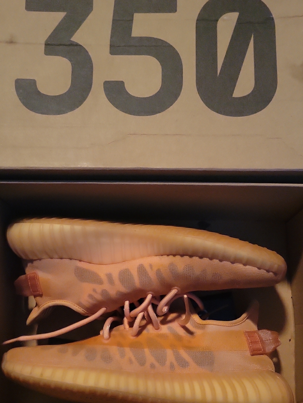 Yeezy Boost 350 V2